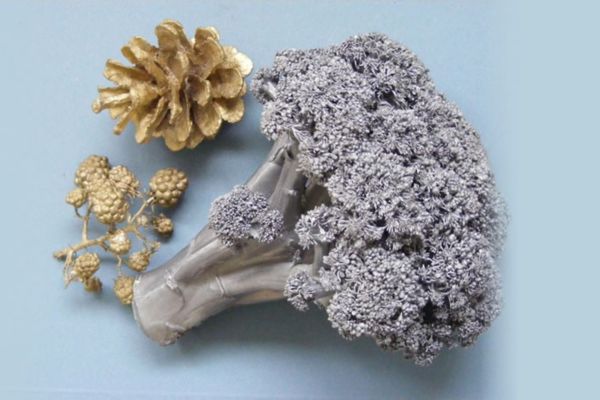 Casting Broccoli